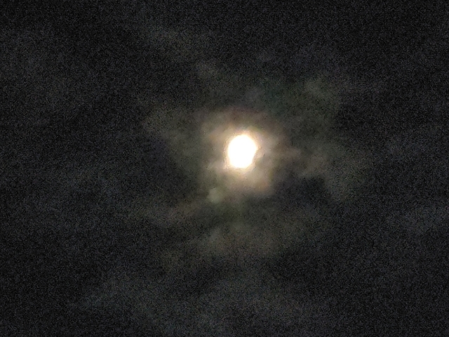 21-10-18-19-25-38-232_photo.jpg