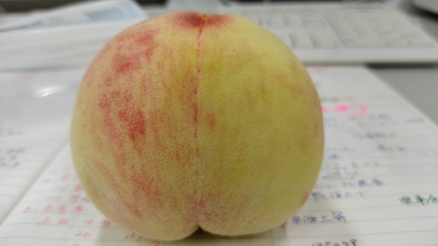 IMG-20210707-WA0002.jpeg