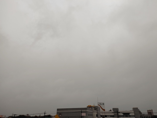 IMG_20211001_054541.jpg